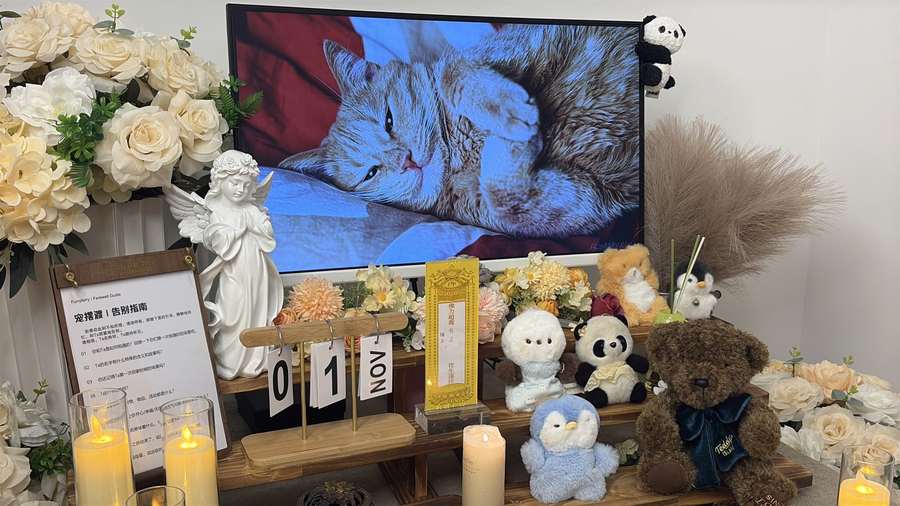 北京宠物殡葬告别厅实景
