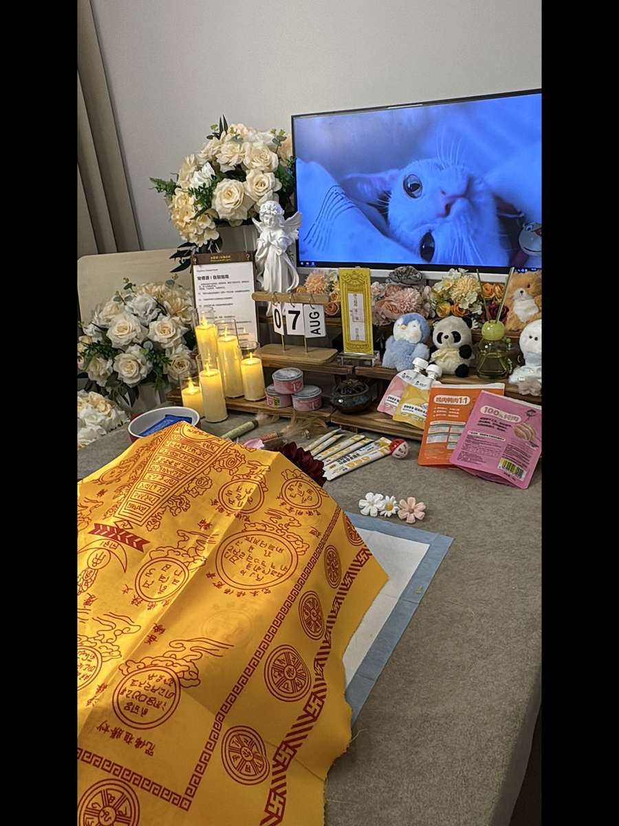 北京宠物单独火化